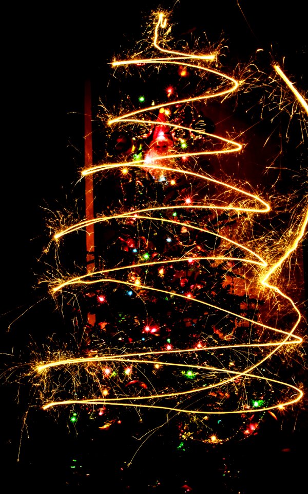 Free stock photo of celebrate, celebration, christmas