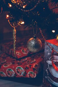 Free stock photo from Tookapic