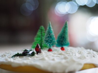 Free stock photo from Tookapic