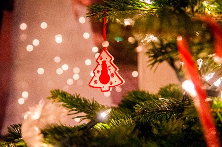 Free stock photo of night, theme christmas photo