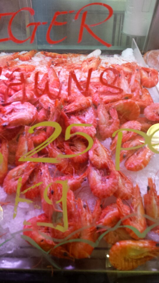 Free stock photo of christmas, Prawns
