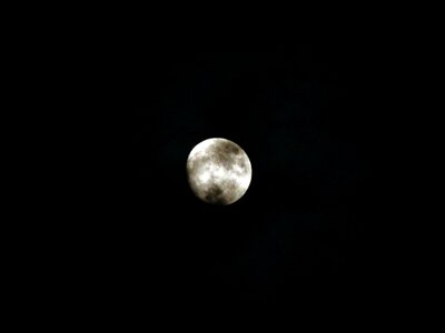 Free stock photo from Tookapic
