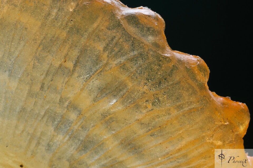 Free stock photo from Tookapic