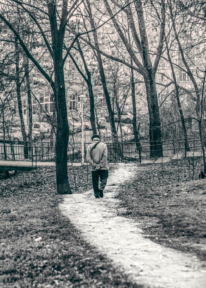 Free stock photo of adult, black-and-white, branches photo