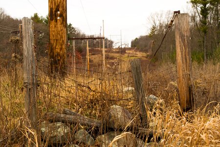 Free stock photo of abandoned, fence, winter