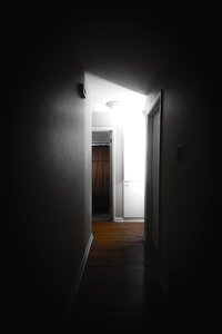 Free stock photo from Tookapic