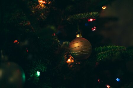 Free stock photo of christmas, christmas lights, christmas tree photo
