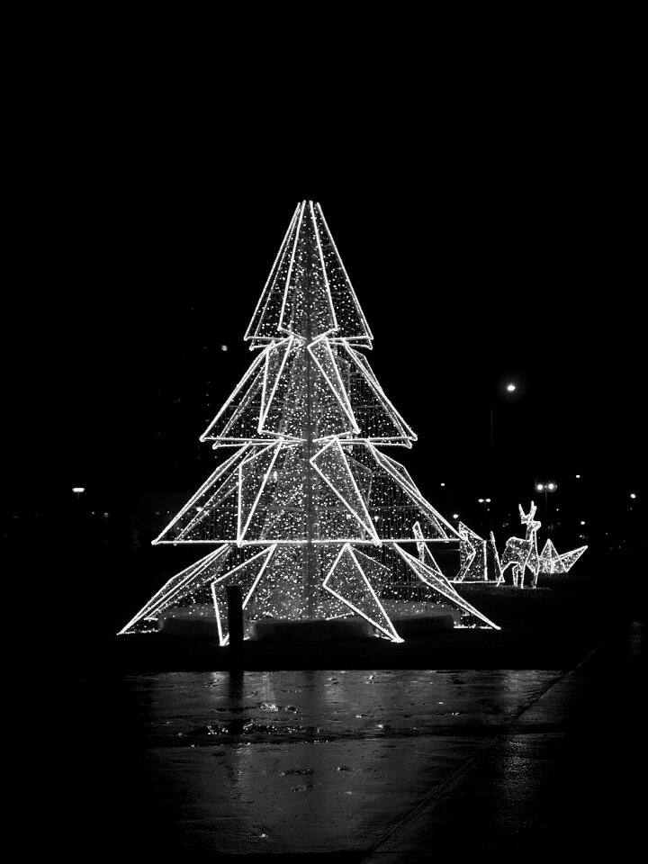 Free stock photo of black and-white, christmas tree, theme christmas photo