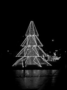 Free stock photo of black and-white, christmas tree, theme christmas photo