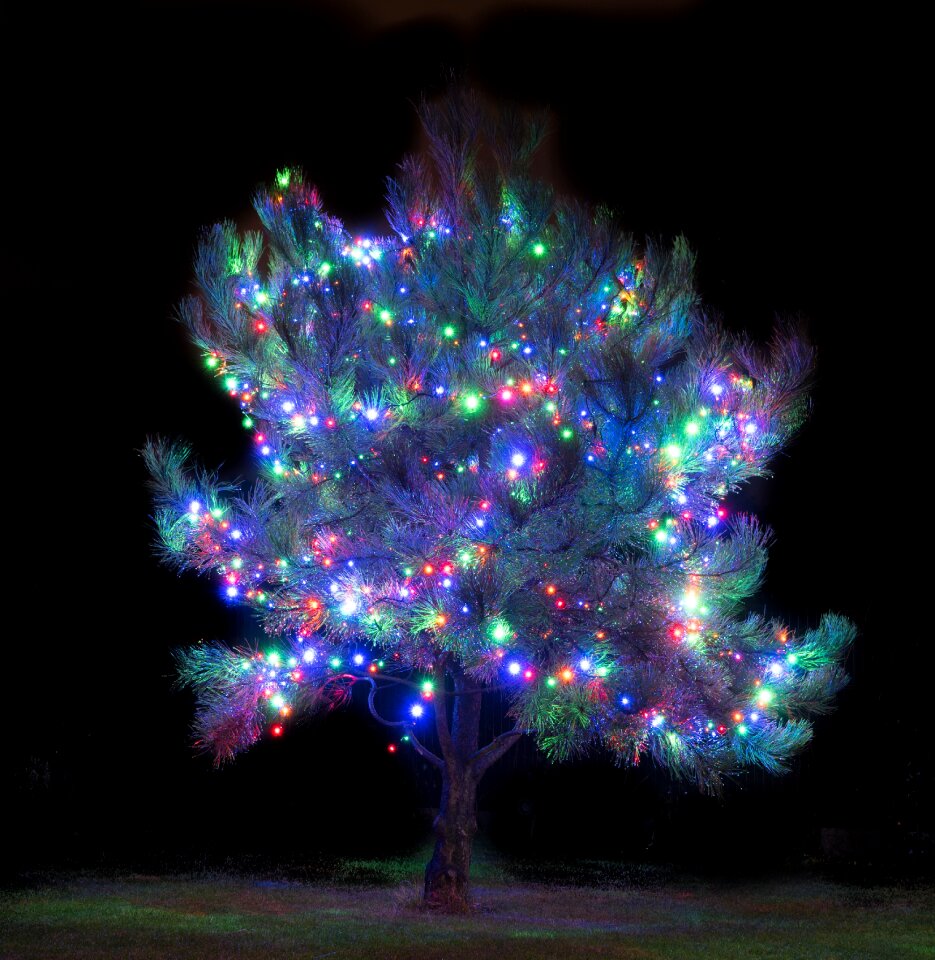 Free stock photo of christmas, nature, night