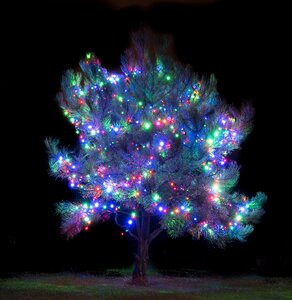 Free stock photo of christmas, nature, night