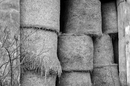 Free stock photo from Tookapic
