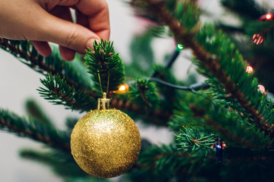 Free stock photo of ball, blur, branch photo