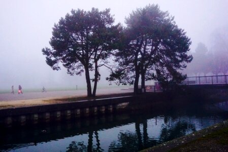 Free stock photo of fog, reflection, water photo