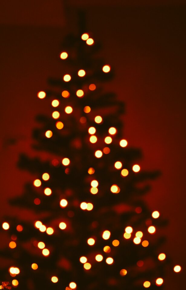 Free stock photo from Tookapic