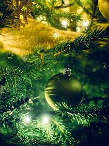 Free stock photo of christmas lights, christmas tree, close-up