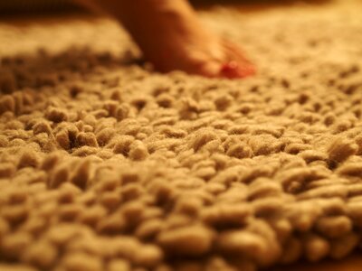 Free stock photo of carpet, soft, theme good-morning