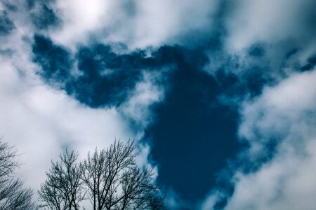 Free stock photo of clouds, sky, trees photo