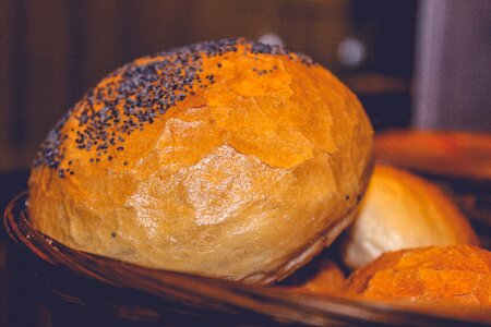 Free stock photo of bread photo