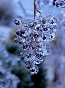 Cold season nature