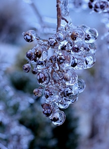 Cold season nature photo