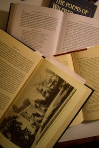 Free stock photo of books, night, poet photo