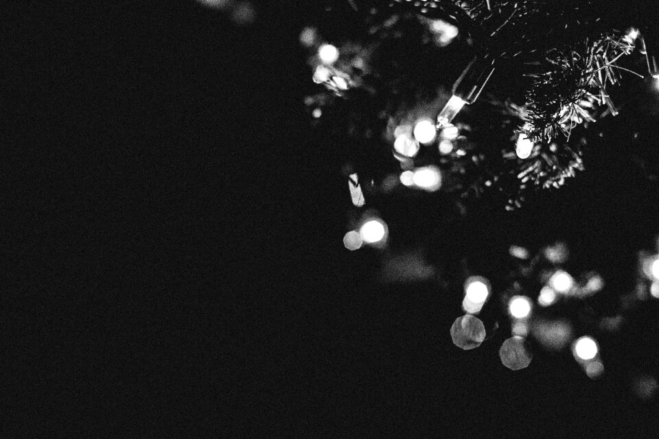 Free stock photo from Tookapic