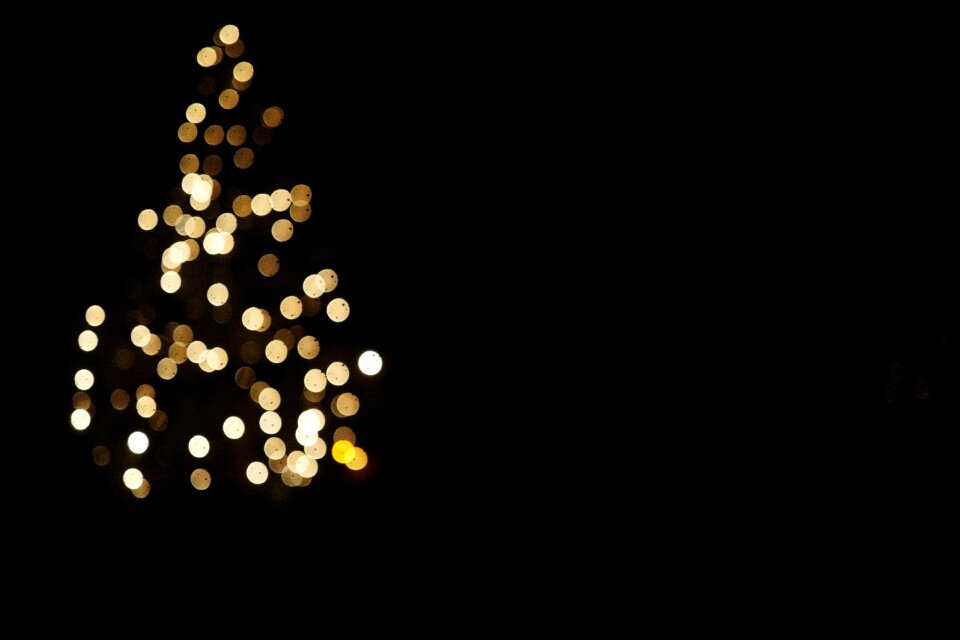 Free stock photo from Tookapic