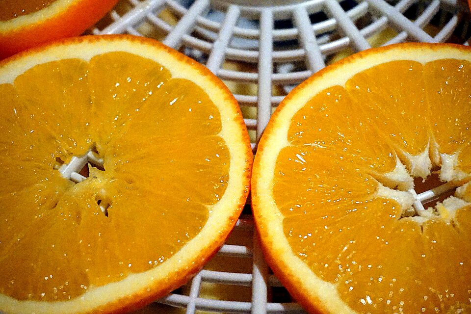 Free stock photo of christmas, fruit, orange