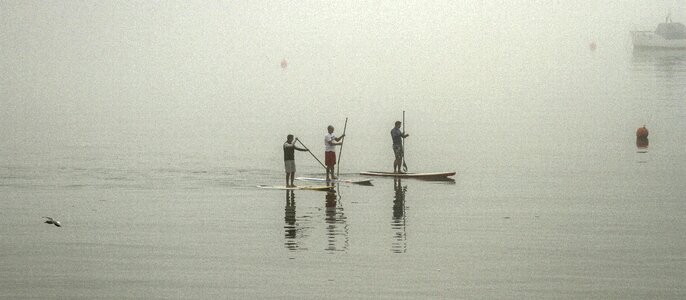 Free stock photo of mist, paddle boarding, reflection photo