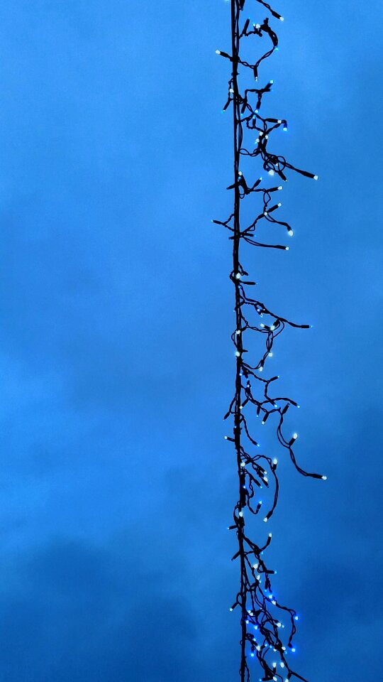 Free stock photo of christmas, clouds, lights