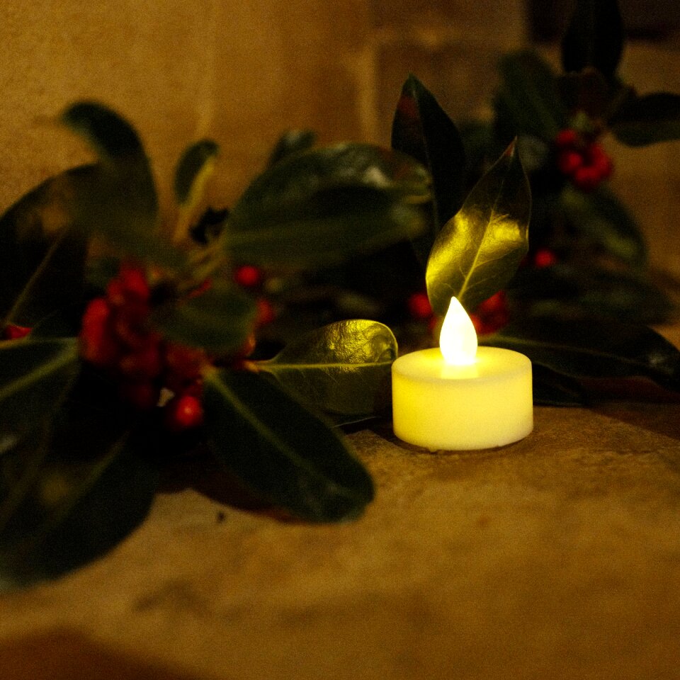 Free stock photo from Tookapic