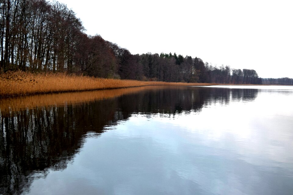 Free stock photo of bory tucholskie, poland