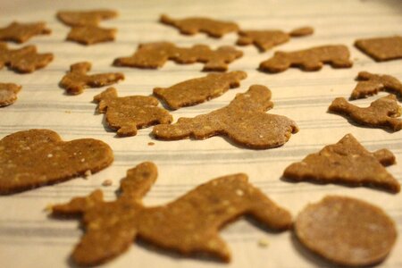 Free stock photo of baking, christmas, gingerbread