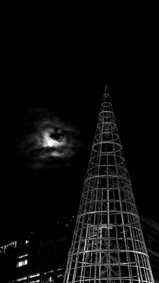 Free stock photo of arbre, christmas, esprit