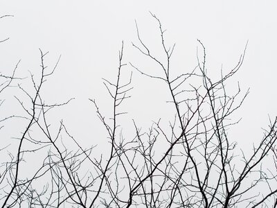 Free stock photo of grey, sky, theme light photo