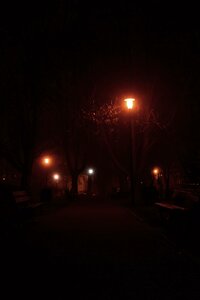 Free stock photo of fog, night, theme light