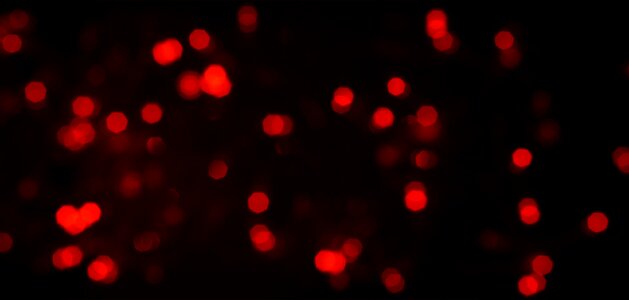 Free stock photo of heart, red, theme light photo