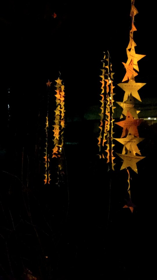 Free stock photo of art, stars, theme light