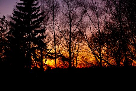 Free stock photo of dark, sundown, sunset