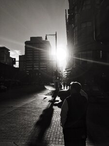 Free stock photo from Tookapic