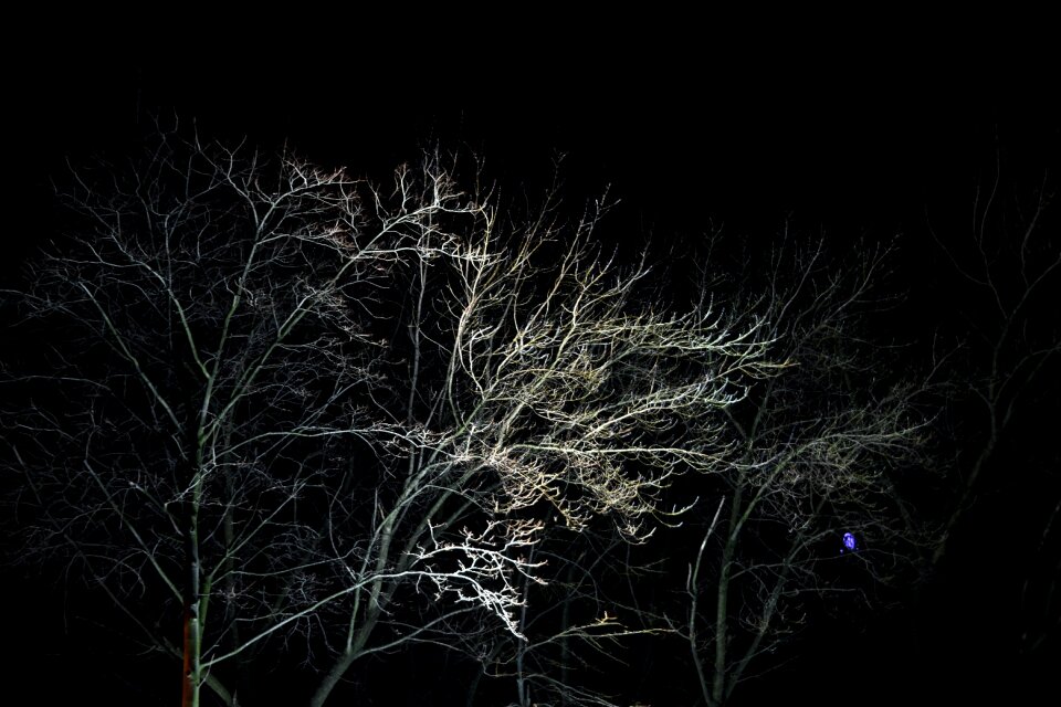Free stock photo of chlodna, darkness, light