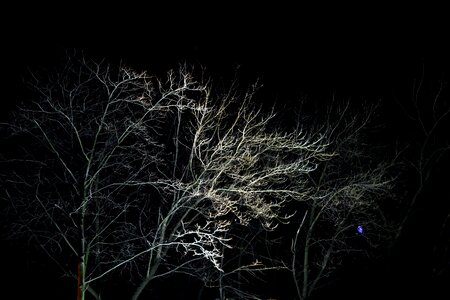 Free stock photo of chlodna, darkness, light