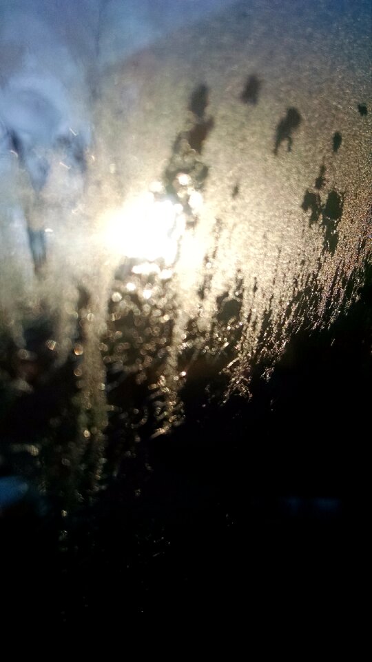 Free stock photo of sun