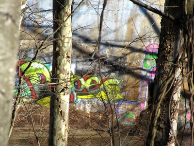 Free stock photo of art, graffiti, trees photo