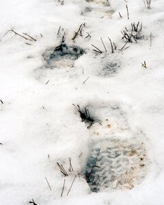 Free stock photo of footsteps, snow photo