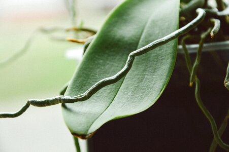 Free stock photo from Tookapic