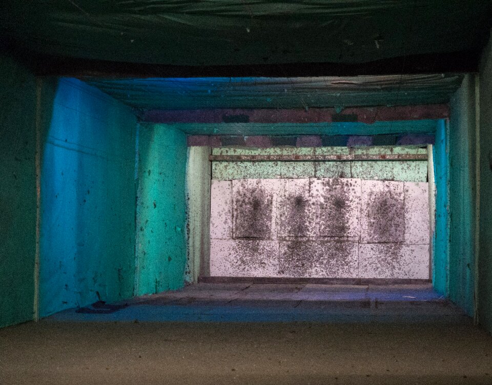 Free stock photo of shooting range
