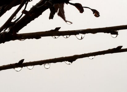 Free stock photo of drops, water photo