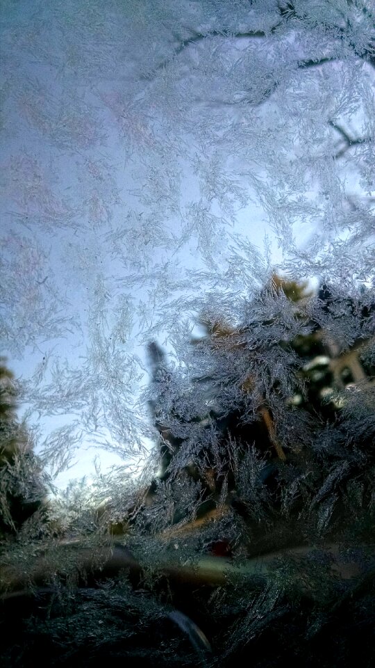 Free stock photo of ice, vehicle